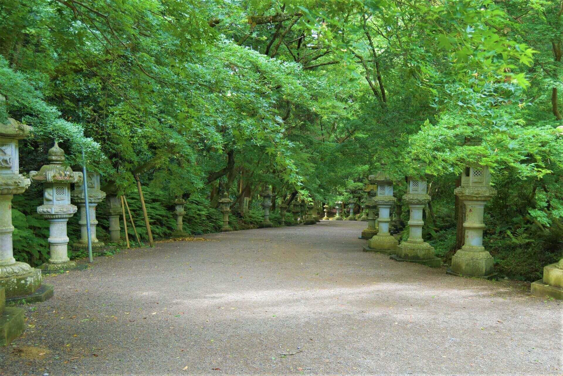 ⛩️ 가토리 신궁 (香取神宮) 이미지 2